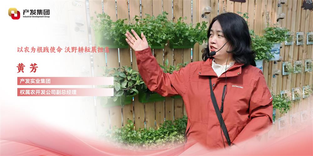 巾幗綻芳華 | 產(chǎn)發(fā)實(shí)業(yè)集團(tuán)權(quán)屬農(nóng)開發(fā)公司 黃芳：以農(nóng)為根踐使命，沃野耕耘展擔(dān)當(dāng)